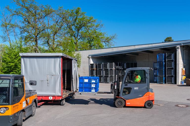 Man sieht einen Gabelstapler, welcher einen LKW befüllt.